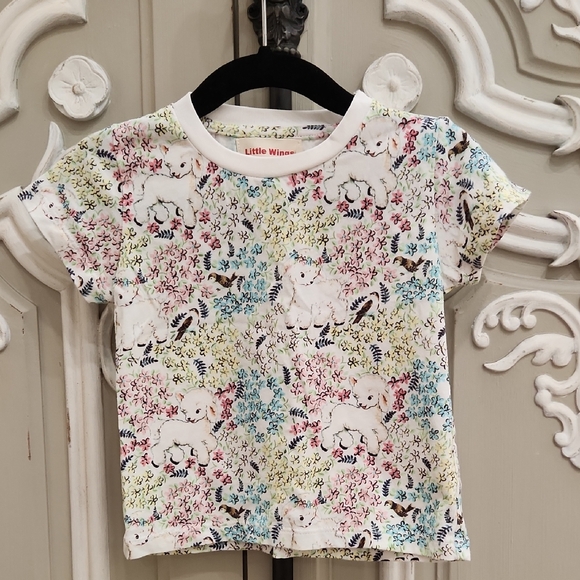 Little Wings Other - Little Wings Baby Girl 100% Organic Cotton T-Shirt Size 6 Months